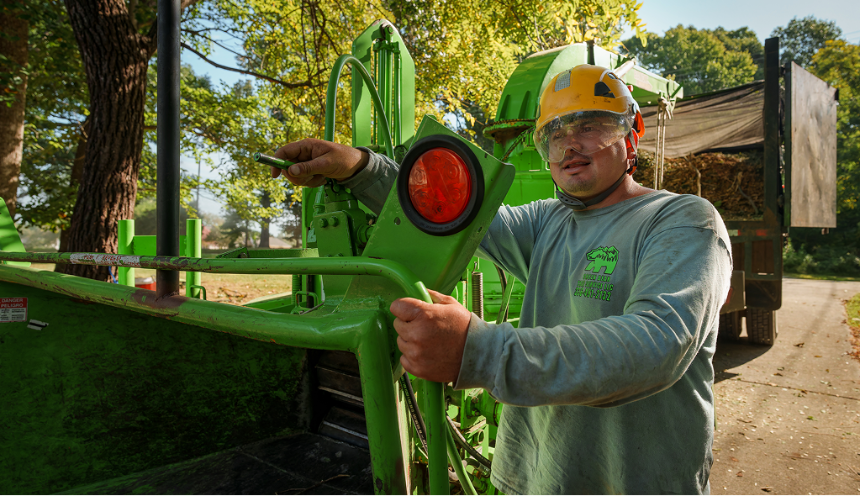 Green Bear Tree Service crew member in safety gear operating green wood chipper at residential property NC