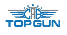 CAB Top Gun logo featuring blue and gray wings with oval emblem and stars